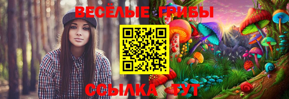 Псилоцибиновые грибы Psilocybe Ливны