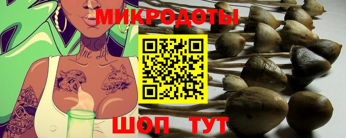 Псилоцибиновые грибы Psilocybe  Вход с VPN  Галлюциногенные грибы прущие грибы  Ливны 